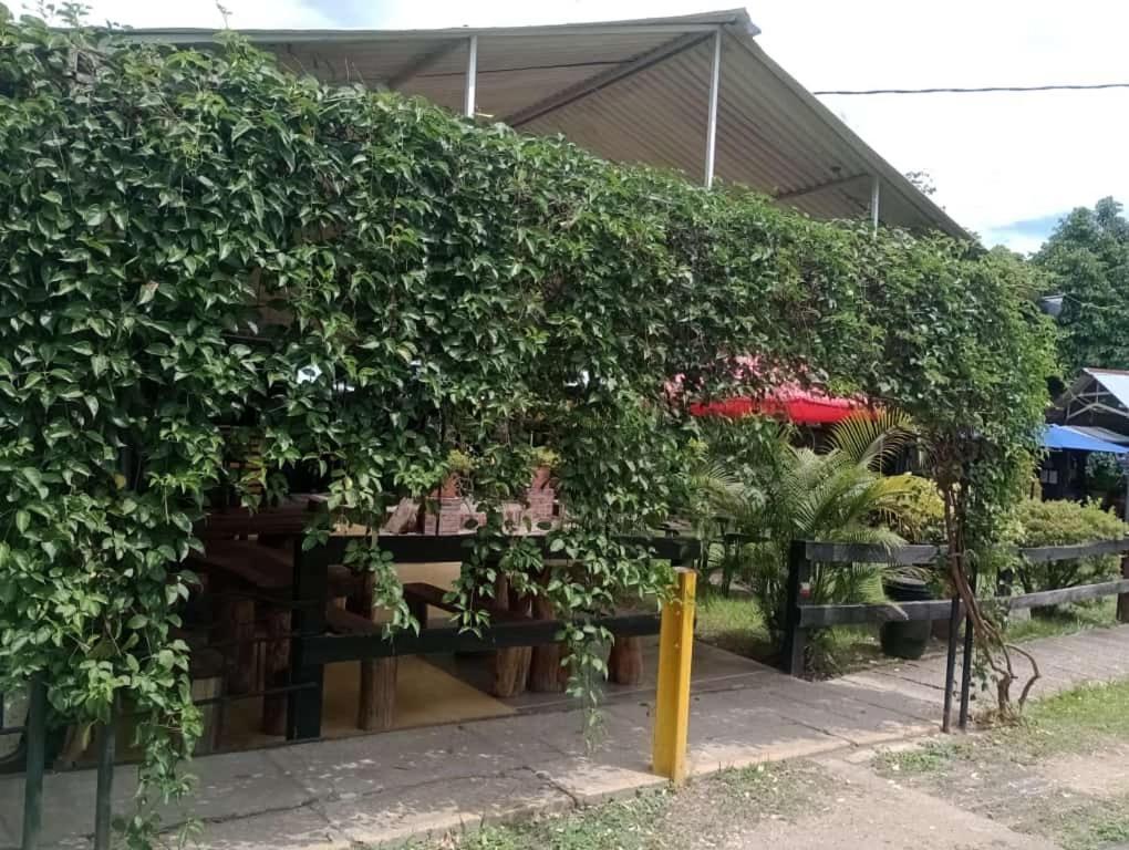 Loma Linda Hotel De Naturaleza La Mesa  Bagian luar foto